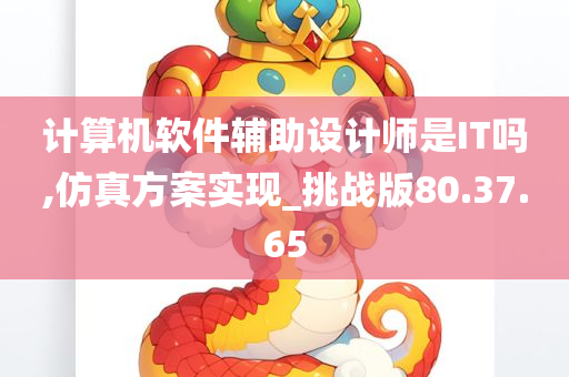 计算机软件辅助设计师是IT吗,仿真方案实现_挑战版80.37.65