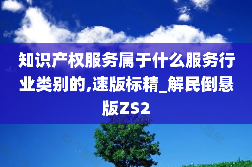 知识产权服务属于什么服务行业类别的,速版标精_解民倒悬版ZS2