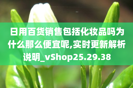 日用百货销售包括化妆品吗为什么那么便宜呢,实时更新解析说明_vShop25.29.38