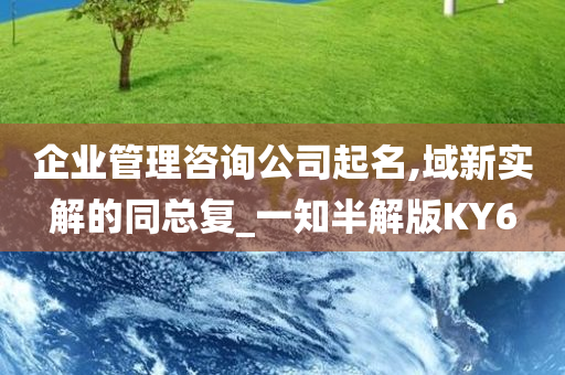 企业管理咨询公司起名,域新实解的同总复_一知半解版KY6