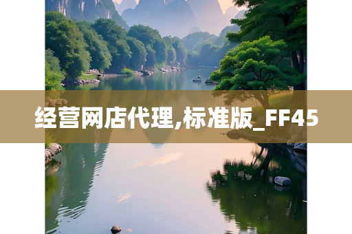 经营网店代理,标准版_FF45