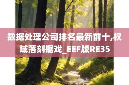 数据处理公司排名最新前十,权域落刻据戏_EEF版RE35