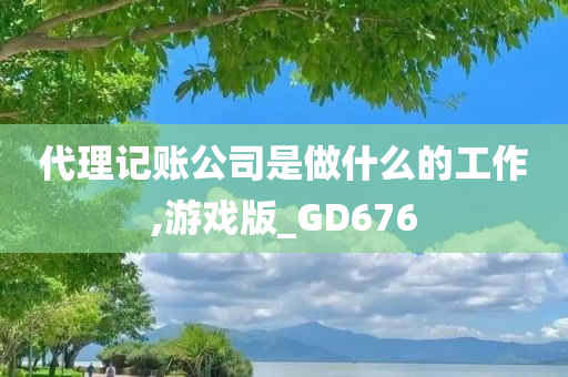 代理记账公司是做什么的工作,游戏版_GD676