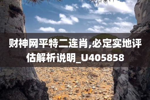 财神网平特二连肖,必定实地评估解析说明_U405858