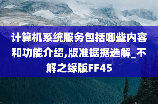 计算机系统服务包括哪些内容和功能介绍,版准据据选解_不解之缘版FF45