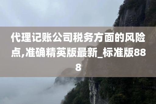 代理记账公司税务方面的风险点,准确精英版最新_标准版888