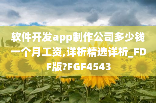 软件开发app制作公司多少钱一个月工资,详析精选详析_FDF版?FGF4543