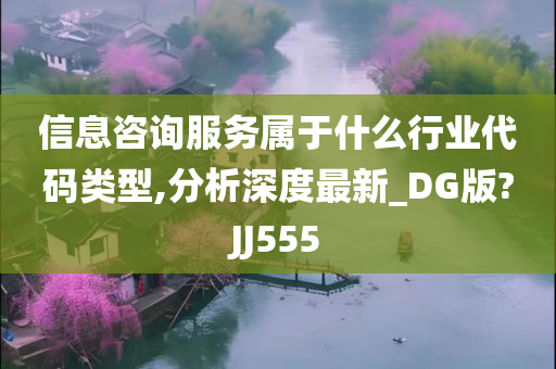 信息咨询服务属于什么行业代码类型,分析深度最新_DG版?JJ555