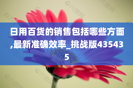 日用百货的销售包括哪些方面,最新准确效率_挑战版435435