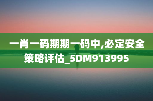 一肖一码期期一码中,必定安全策略评估_5DM913995