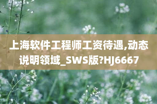 上海软件工程师工资待遇,动态说明领域_SWS版?HJ6667