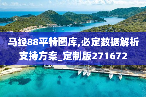 马经88平特图库,必定数据解析支持方案_定制版271672