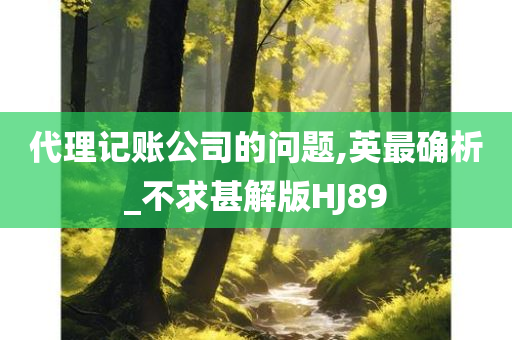 代理记账公司的问题,英最确析_不求甚解版HJ89