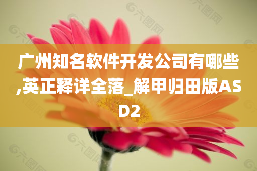 广州知名软件开发公司有哪些,英正释详全落_解甲归田版ASD2