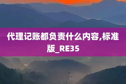 代理记账都负责什么内容,标准版_RE35