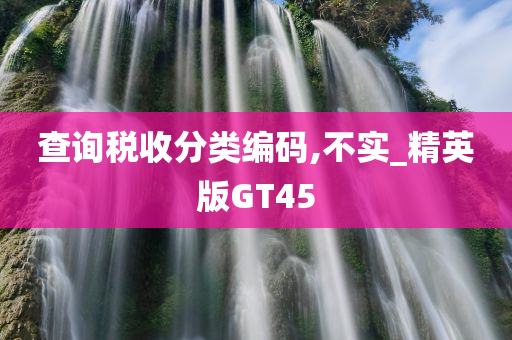 GT45 第8页