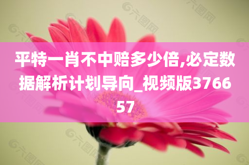 平特一肖不中赔多少倍,必定数据解析计划导向_视频版376657