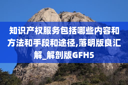 知识产权服务包括哪些内容和方法和手段和途径,落明版良汇解_解剖版GFH5