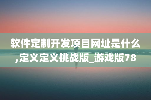 软件定制开发项目网址是什么,定义定义挑战版_游戏版78