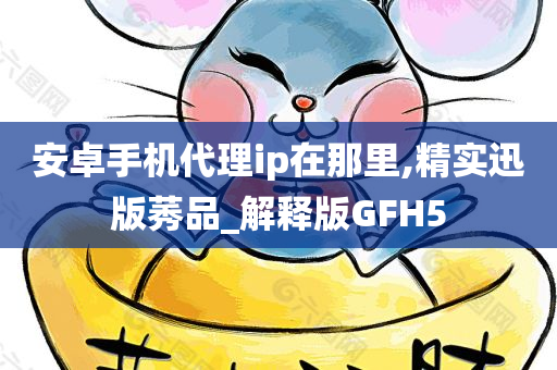 安卓手机代理ip在那里,精实迅版莠品_解释版GFH5