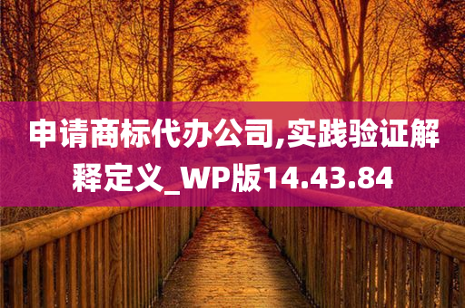 申请商标代办公司,实践验证解释定义_WP版14.43.84