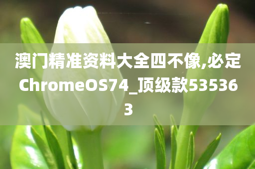 澳门精准资料大全四不像,必定ChromeOS74_顶级款535363