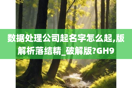 数据处理公司起名字怎么起,版解析落结精_破解版?GH9