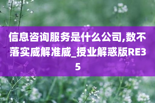 信息咨询服务是什么公司,数不落实威解准威_授业解惑版RE35