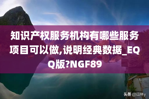 知识产权服务机构有哪些服务项目可以做,说明经典数据_EQQ版?NGF89