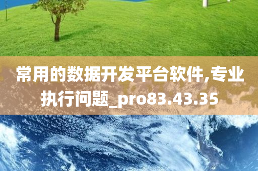 常用的数据开发平台软件,专业执行问题_pro83.43.35