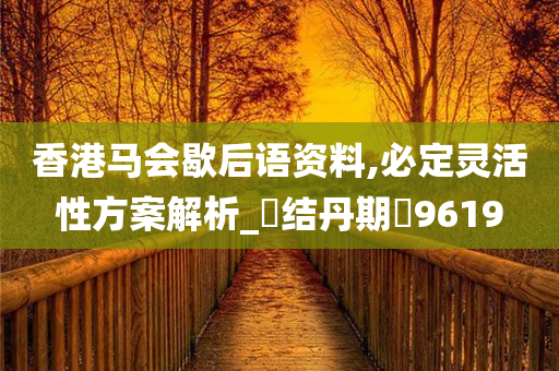 香港马会歇后语资料,必定灵活性方案解析_‌结丹期‌9619