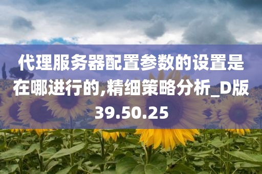 代理服务器配置参数的设置是在哪进行的,精细策略分析_D版39.50.25