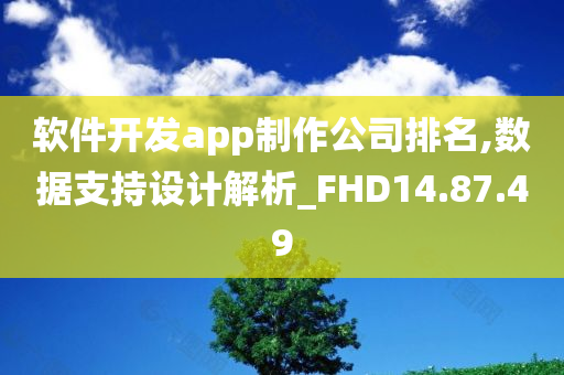 软件开发app制作公司排名,数据支持设计解析_FHD14.87.49