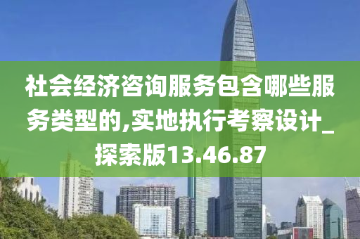 社会经济咨询服务包含哪些服务类型的,实地执行考察设计_探索版13.46.87