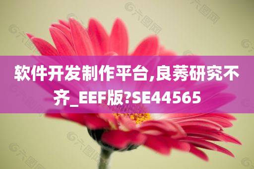 软件开发制作平台,良莠研究不齐_EEF版?SE44565