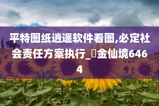 平特图纸逍遥软件看图,必定社会责任方案执行_‌金仙境6464