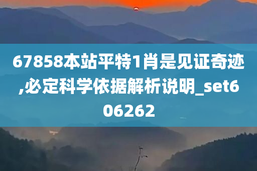 67858本站平特1肖是见证奇迹,必定科学依据解析说明_set606262