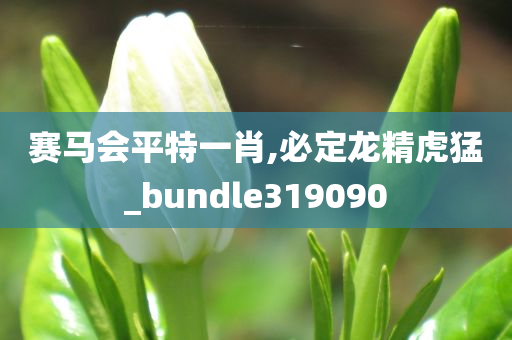 赛马会平特一肖,必定龙精虎猛_bundle319090