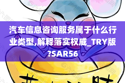 汽车信息咨询服务属于什么行业类型,解释落实权威_TRY版?SAR56