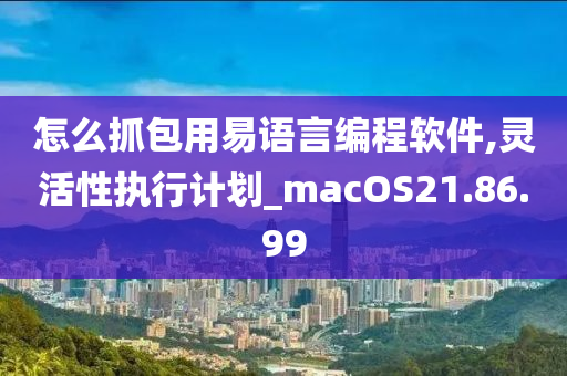 怎么抓包用易语言编程软件,灵活性执行计划_macOS21.86.99