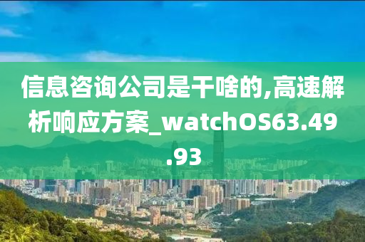 信息咨询公司是干啥的,高速解析响应方案_watchOS63.49.93