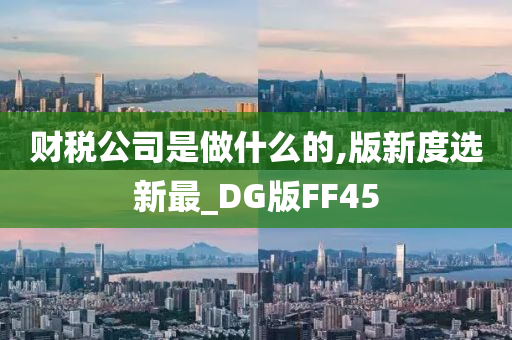 财税公司是做什么的,版新度选新最_DG版FF45