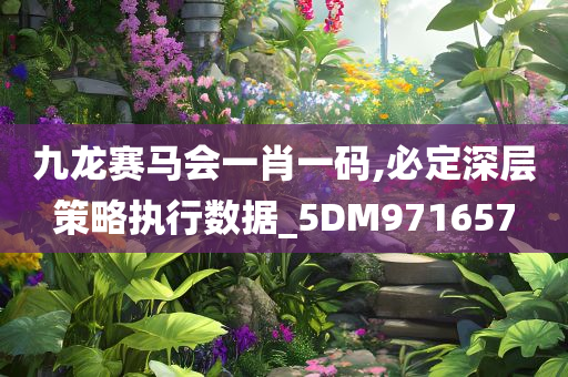 九龙赛马会一肖一码,必定深层策略执行数据_5DM971657