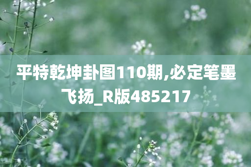 平特乾坤卦图110期,必定笔墨飞扬_R版485217