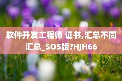 软件开发工程师 证书,汇总不同汇总_SOS版?HJH66