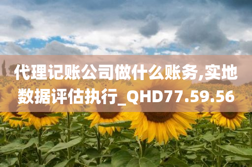 代理记账公司做什么账务,实地数据评估执行_QHD77.59.56