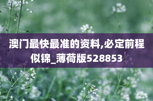 澳门最快最准的资料,必定前程似锦_薄荷版528853