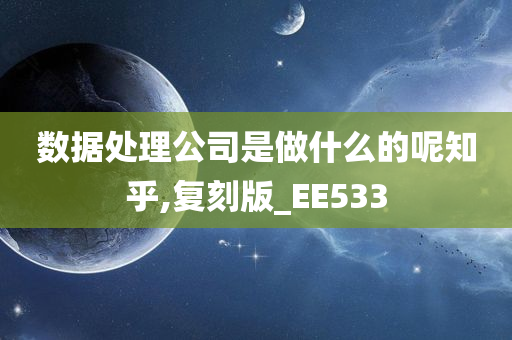 数据处理公司是做什么的呢知乎,复刻版_EE533