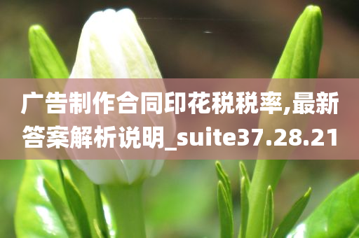 广告制作合同印花税税率,最新答案解析说明_suite37.28.21