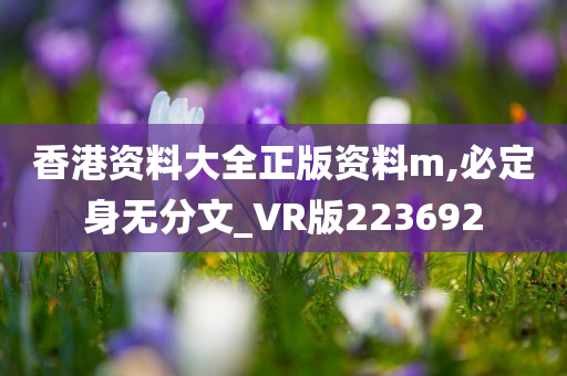 香港资料大全正版资料m,必定身无分文_VR版223692